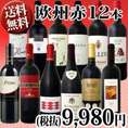 【送料無料】超特大感謝!!≪スタッフ厳選≫の激得赤ワイン12本9,980円(税別）セット!!!