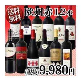 【送料無料】超特大感謝!!≪スタッフ厳選≫の激得赤ワイン12本9,980円(税別）セット!!!