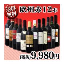 【送料無料】超特大感謝!!≪スタッフ厳選≫の激得赤ワイン12本セット!!!