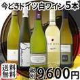 【送料無料!!】全部当店現地発掘・独自輸入!!これは楽しい！全部辛口☆いまどきドイツ白ワイン５本セット！