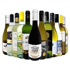 白ワイン セット フランス ボルドー など 12本 wine set 750ml