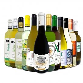 白ワイン セット スペイン イタリア フランス ボルドー 12本 wine set 750ml 第213弾