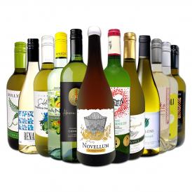 白ワイン セット スペイン イタリア フランス ボルドー 12本 wine set 750ml 第217弾