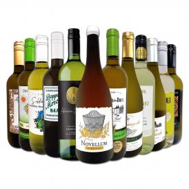 白ワイン セット スペイン イタリア フランス ボルドー 12本 wine set 750ml 第219弾