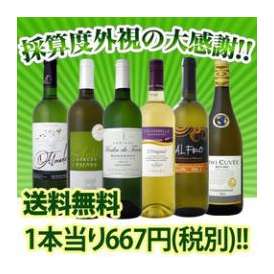 【送料無料】なんと1本あたり667円(税別)!!採算度外視の大感謝の白ワイン6本セット!!!
