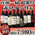【送料無料・100セット限定!!】≪端数在庫一掃★通常セットよりもさらにお値打ち!≫超激得赤ワイン9本セット！
