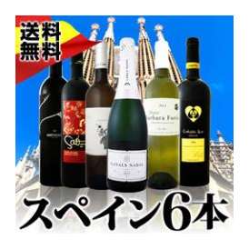 【送料無料】華麗なる新時代スペインワインセット!!