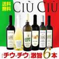 【送料無料】大人気イタリアン【チウ・チウ】激旨6本セット!!