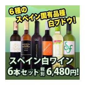 【送料無料】注目のスペイン固有白ブドウ品種が大集合!!スペインおうちバル白ワイン6本セット6,480円（税別）!!
