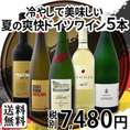 【送料無料】格上ゼクト入り!!暑い夏におすすめ!!全部当店独自輸入!!爽快ドイツワイン5本セット!!