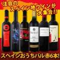 【送料無料】スペイン全土の地ワイン満喫!!スペインおうちバル赤ワイン6本セット!!