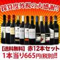 【送料無料】厳選赤ワイン12本セット！