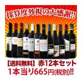 【送料無料】厳選赤ワイン12本セット！