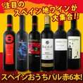 【送料無料】スペイン全土の地ワイン満喫！スペインおうちバル赤ワイン6本セット！