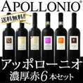 【送料無料】大人気イタリアン【アッポローニオ】濃厚赤6本セット！