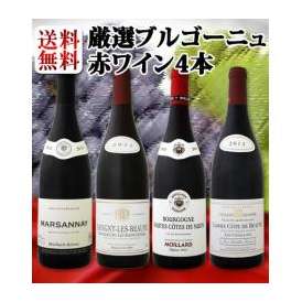 【送料無料】特大感謝の厳選ブルゴーニュ赤ワイン4本セット！