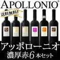 【送料無料】大人気イタリアン【アッポローニオ】濃厚赤6本セット!!