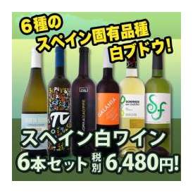 【送料無料】スペインおうちバル白ワイン6本セット！