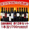 【送料無料】厳選赤ワイン12本セット!!