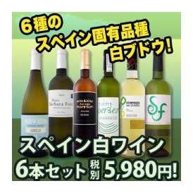 【送料無料】スペインおうちバル白ワイン6本セット!!