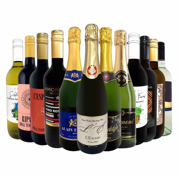 白赤ワインセット 750ml ワイン セット 赤 白 スパークリング wine set sparkling 12本 750ml