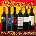 【送料無料】赤ワイン好きのために特別に厳選！ぜ～んぶ京橋ワイン独占輸入！スペイン全土の地ワイン満喫！スペインおうちバル赤ワイン6本セット!!