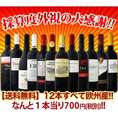 【送料無料】1本あたり700円(税別)！採算度外視の大感謝！厳選赤ワイン12本セット！