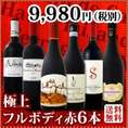 【送料無料】≪濃厚赤ワイン好き必見!≫大満足のフルボディ6本セット