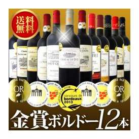 【送料無料】特別限定企画！金賞ボルドースペシャル!京橋ワイン厳選金賞赤ワイン12本セット
