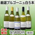 【送料無料】5本全てブルゴーニュ！特大感謝の厳選ブルゴーニュ白ワイン5本セット！