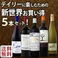 【送料無料】京橋ワイン厳選!デイリーに楽しむための新世界セット！お買い得5本セット！