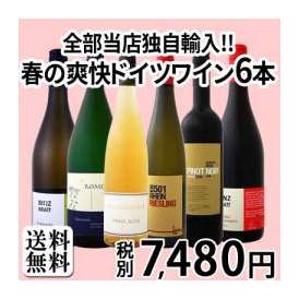 【送料無料】春に飲みたい!!全部当店独自輸入!!爽快＆軽快いまどきドイツワイン6本セット!!