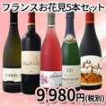 【送料無料】≪100セット限定★お花見はこれで決まり!!≫厳選フランスワイン5本セット!!