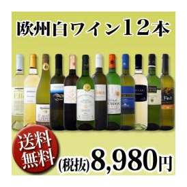 【送料無料】1本あたり749円(税別)!!採算度外視の大感謝!厳選白ワイン12本セット