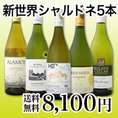 【送料無料!!】京橋ワイン厳選!果実味満載の新世界シャルドネ５本セット!