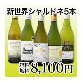 【送料無料!!】京橋ワイン厳選!果実味満載の新世界シャルドネ５本セット!