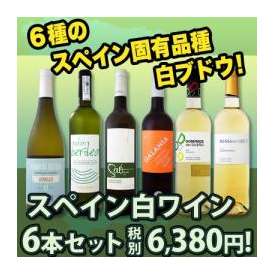 【送料無料】スペインおうちバル白ワイン6本セット！！