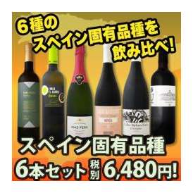 【送料無料】ぜ～んぶ京橋ワイン独占輸入！スペイン固有品種を知るならこの6本！ スペインおうちバル6本セット！