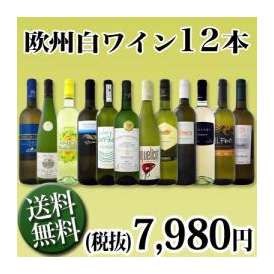 【送料無料】1本あたり665円(税別)!!採算度外視の大感謝!厳選白ワイン12本セット