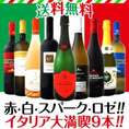 【送料無料】赤・白・スパーク・ロゼを厳選セレクト!!イタリア大満喫9本セット!!