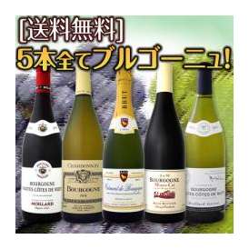 【送料無料】特大感謝の厳選ブルゴーニュワイン大放出5本セット！