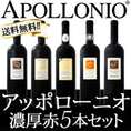 【送料無料】大人気イタリアン【アッポローニオ】濃厚赤5本セット！
