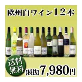 【送料無料】1本あたり665円(税別)!採算度外視の大感謝!厳選白ワイン12本セット