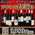 【送料無料】100セット限り!!ボジョレー・ヌーヴォー入り★フランス赤ワイン12本セット