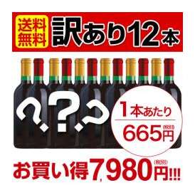 【送料無料】全てラベル不良などの【訳ありワイン】だけを12本詰め込んだお得なセット！