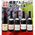 【送料無料】特大感謝の厳選ブルゴーニュ赤ワイン大放出5本セット!!