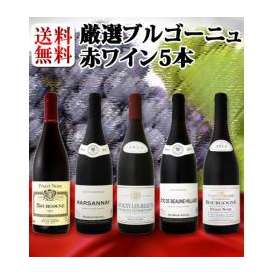 【送料無料】特大感謝の厳選ブルゴーニュ赤ワイン大放出5本セット!!