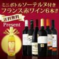 【送料無料】★超お値打ち★100セット限り≪ミニボトルソーテルヌ付き≫フランス赤ワイン6本セット!!