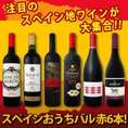【送料無料】スペイン全土の地ワイン満喫!! スペインおうちバル赤ワイン6本セット!!