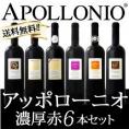 【送料無料】大人気イタリアン【アッポローニオ】濃厚赤6本セット！